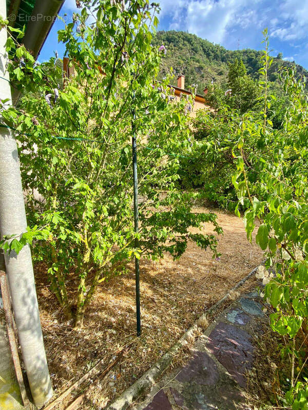 Centre village - photo 14