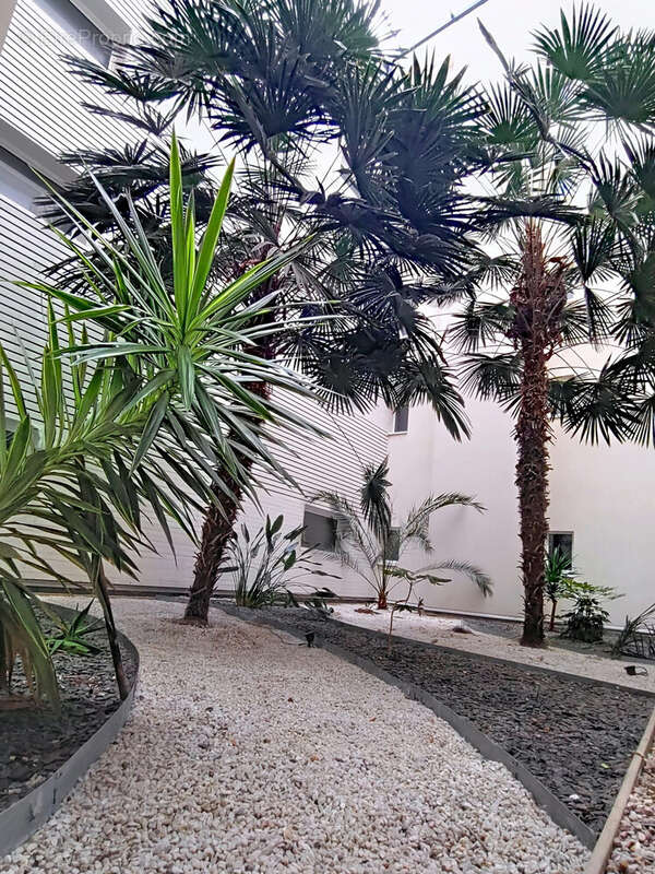 Jardin d'hiver de l'entrée