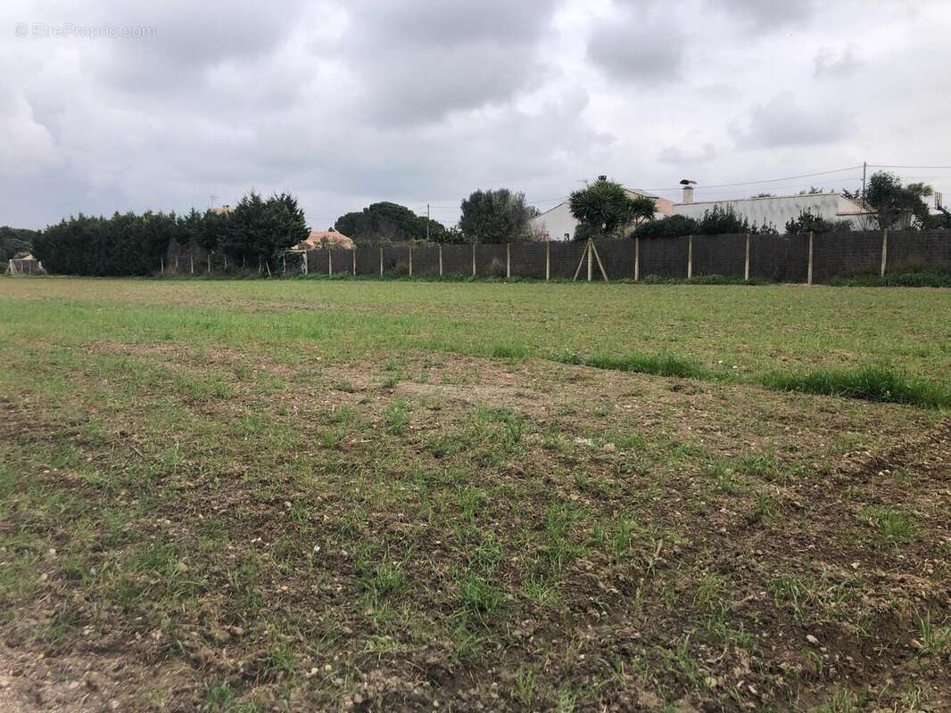 Photo 3 - Terrain à CUXAC-D'AUDE