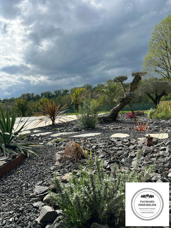 Jardin paysagé  et sa rocaille  - Maison à ROMANS-SUR-ISERE