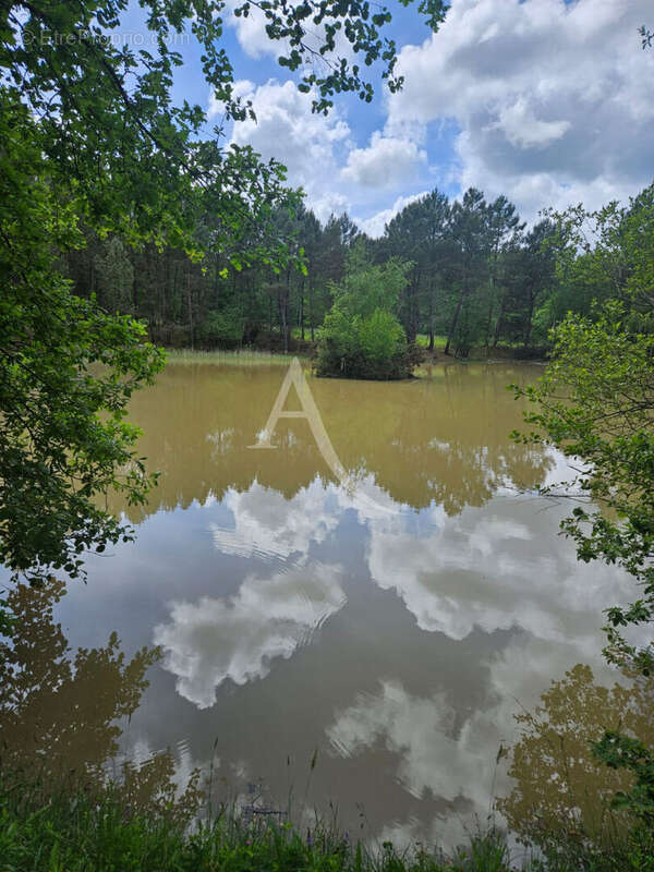 Terrain à CERE-LA-RONDE