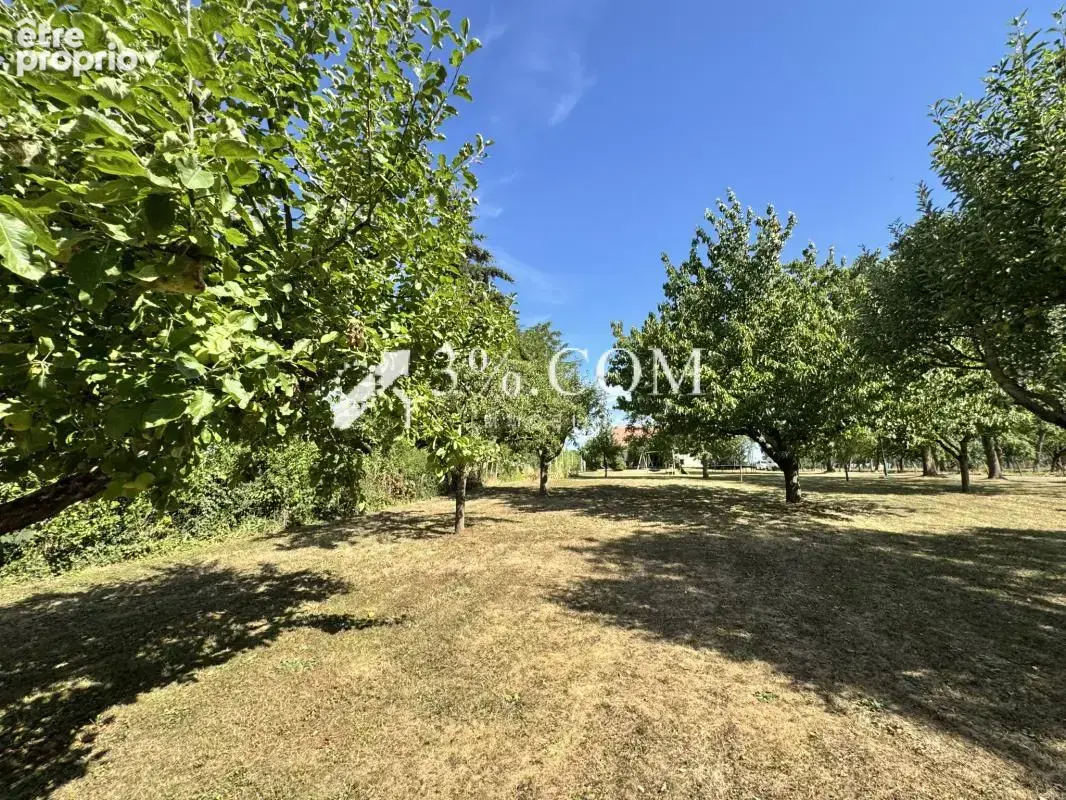 3%COM Belle propriété sur 41 ares - jardin -chalet - spa- ba - photo 8