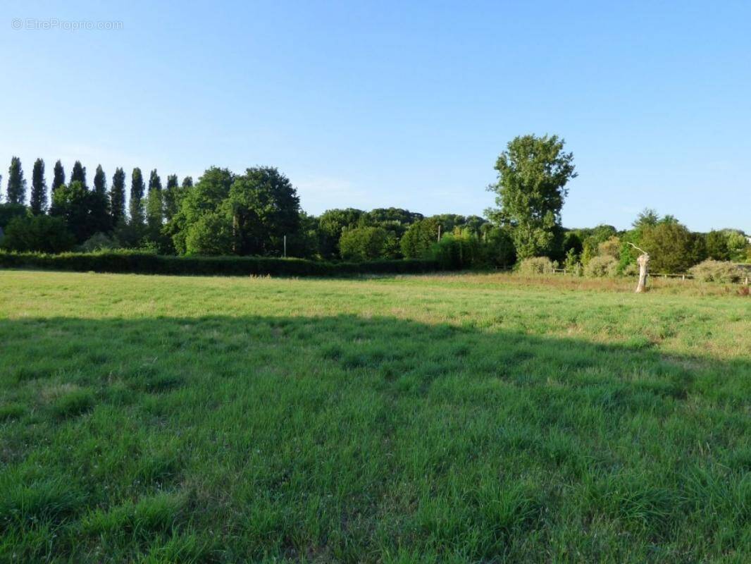Terrain à LE TAILLAN-MEDOC