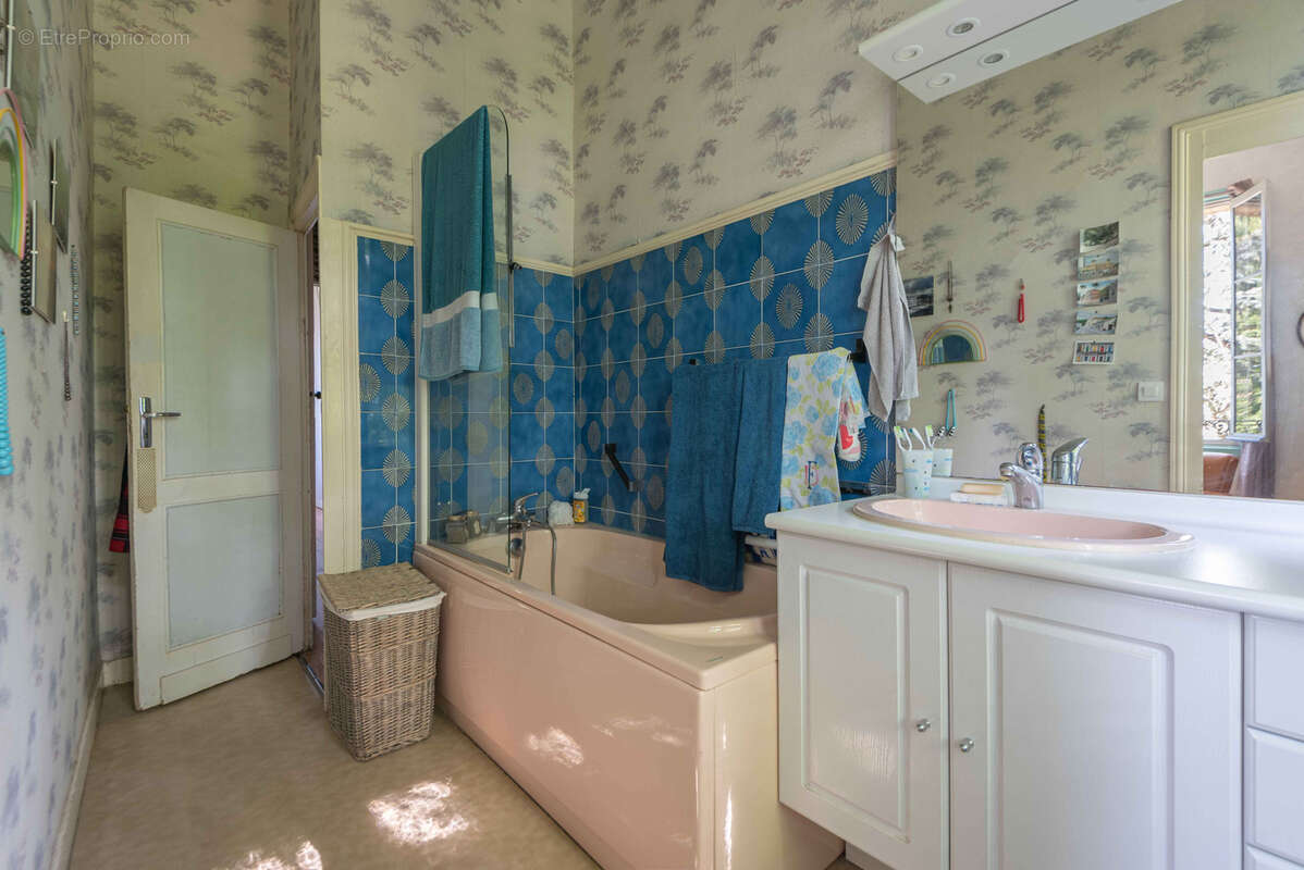 Ancien chateau viticole - potentiel 585 m2 surface habitable - 7 hectares - photo 32