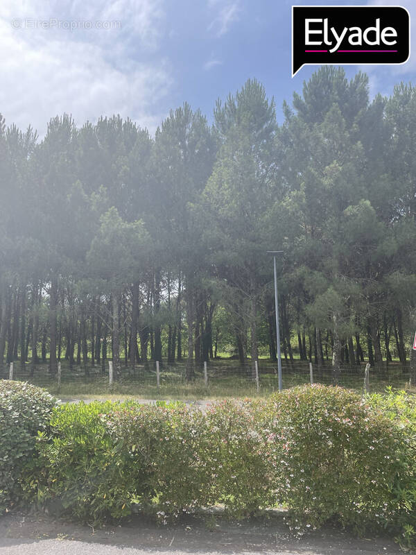 Appartement à BENESSE-MAREMNE