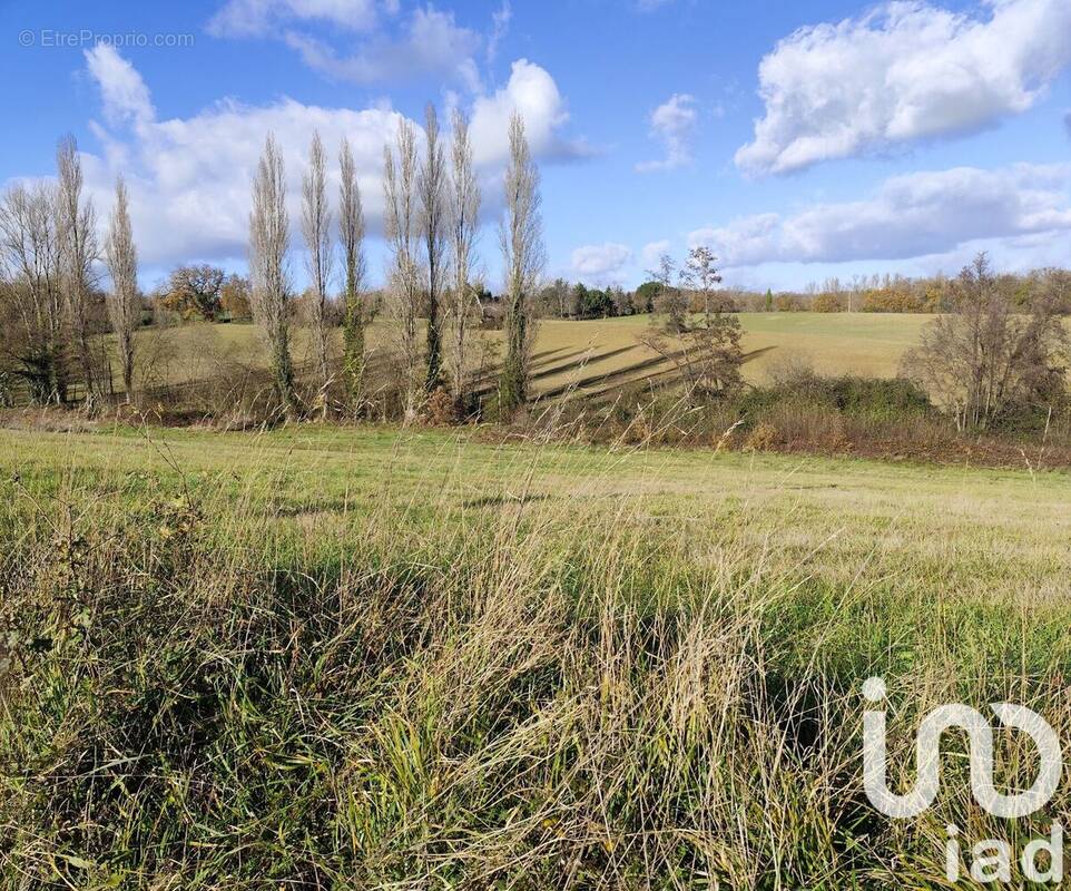 Photo 1 - Terrain à MONTESQUIEU-GUITTAUT