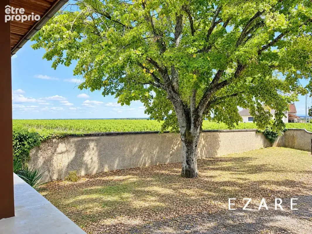 Maison 5 pièces 140 m² à vendre à Chambolle-Musigny (21220) - photo 7