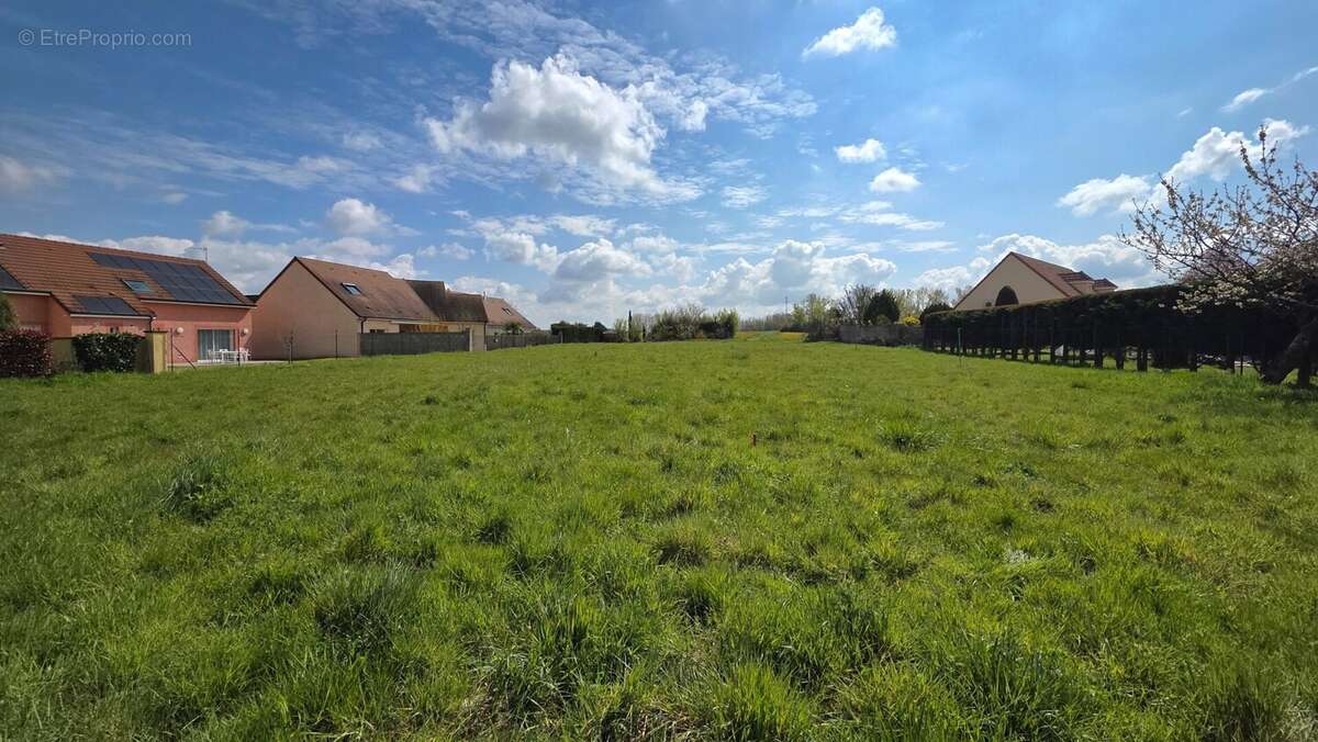 Terrain à CHATENOY-EN-BRESSE