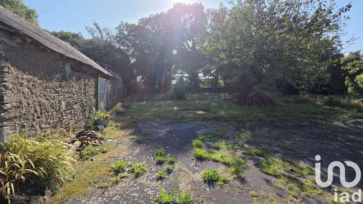 Photo 6 - Maison à NOYAL-MUZILLAC