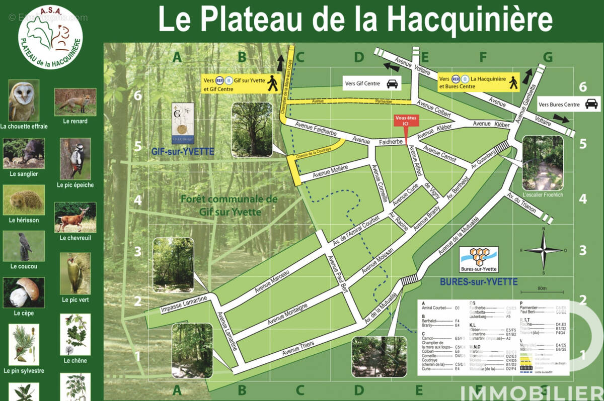 Photo 1 - Maison à VILLEBON-SUR-YVETTE