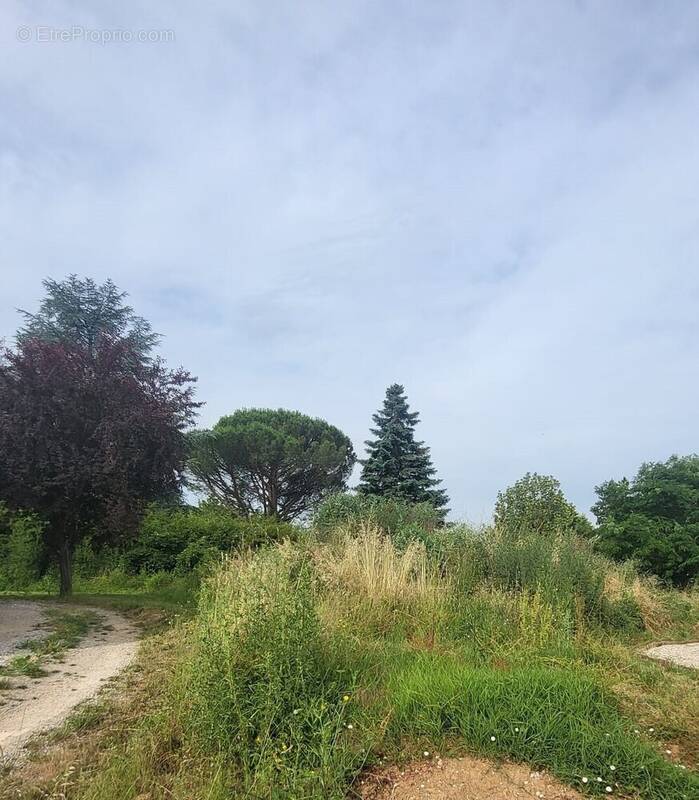 Terrain à ALBI