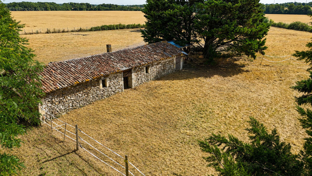 Ensemble immobilier avec dépendances sur plus de 12 000 m2 - photo 20