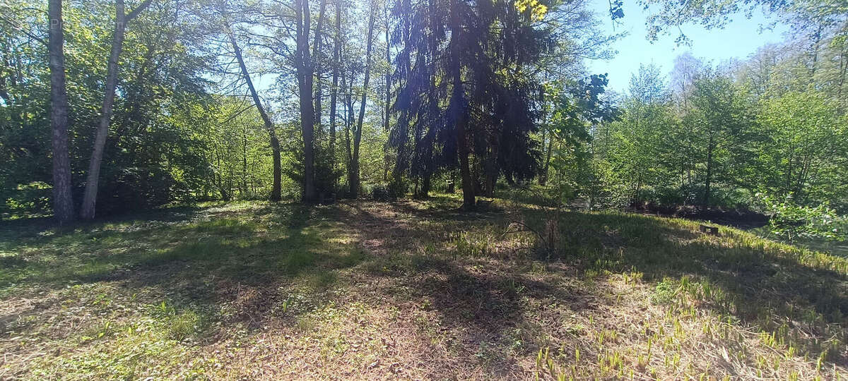 Terrain à LA FERTE-CHEVRESIS