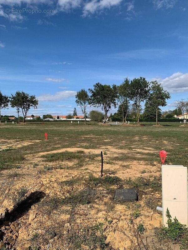 Terrain à SAINT-LAURENT-DE-LA-PREE