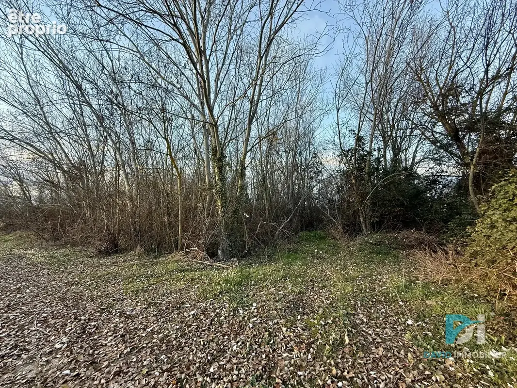 Terrain agricole 1940 m2 - photo 3