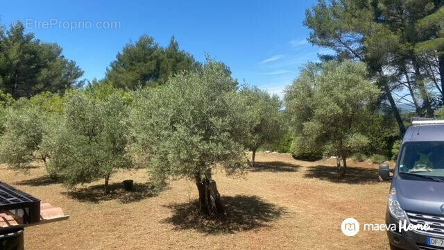 Terrain à LE BEAUSSET