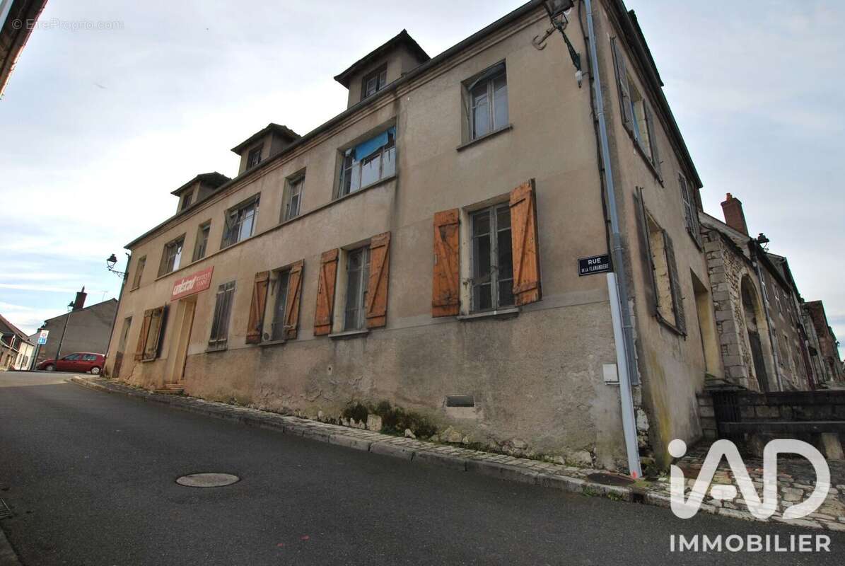 Commerce 561 m² à Ouzouer-Sur-Trezee  - photo 3