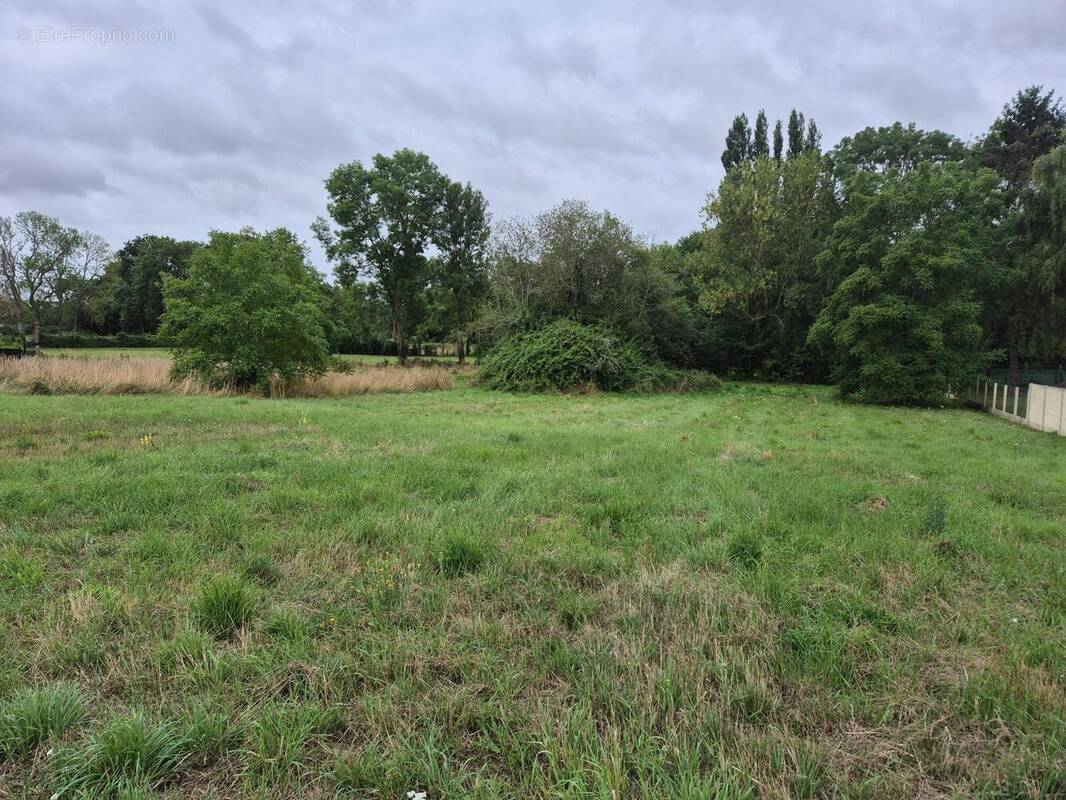 Photo 1 - Terrain à BUEIL