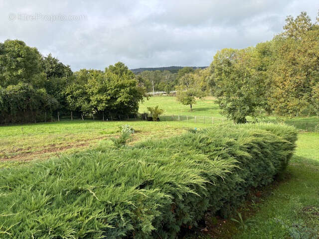 Terrain à VILLEREVERSURE