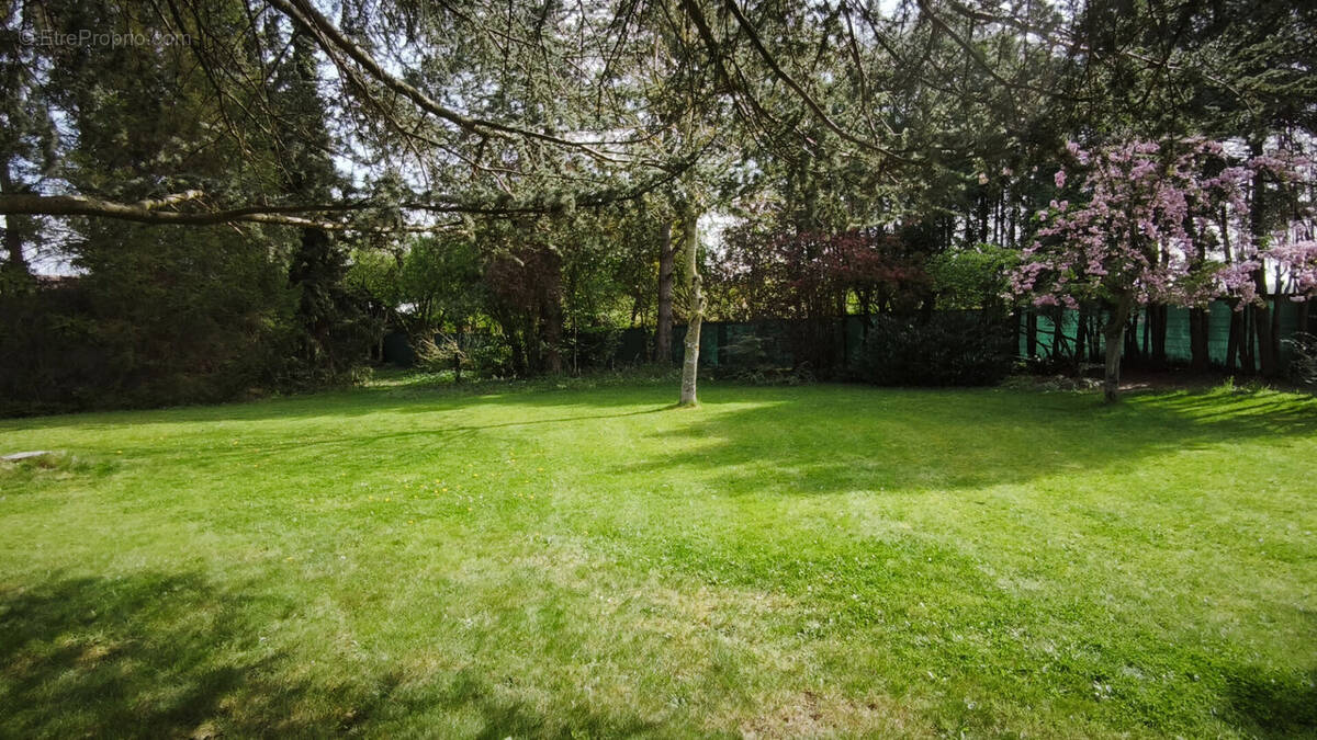 Terrain à MERICOURT