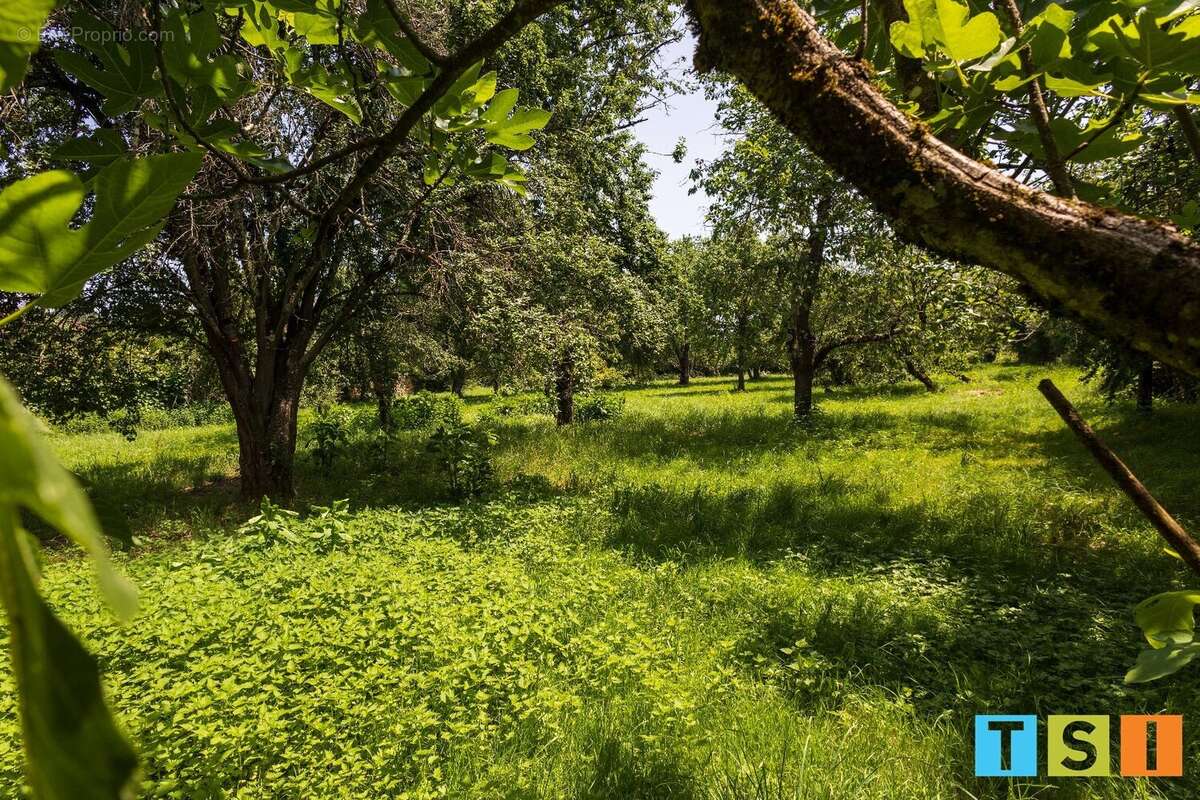 Maison à DAUMAZAN-SUR-ARIZE