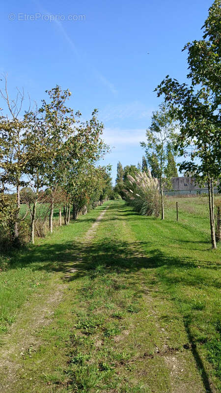Maison à SAINTE-MERE-EGLISE