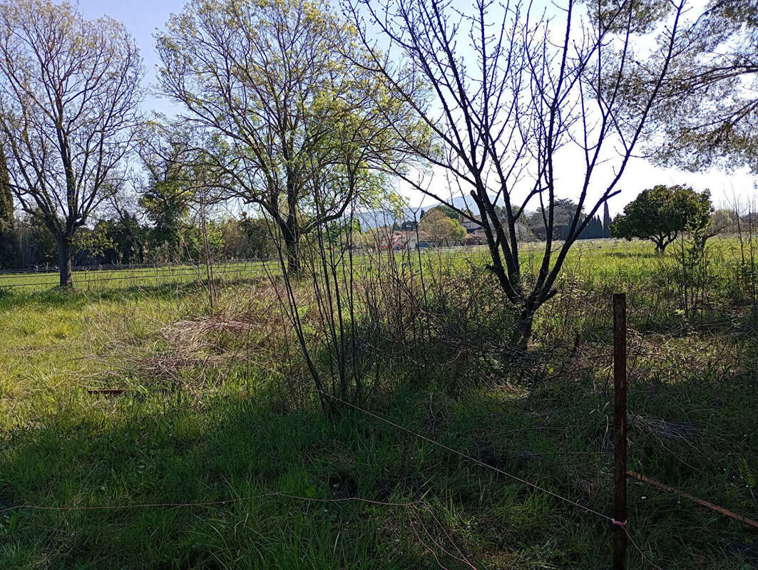 Terrain à LE PRADET