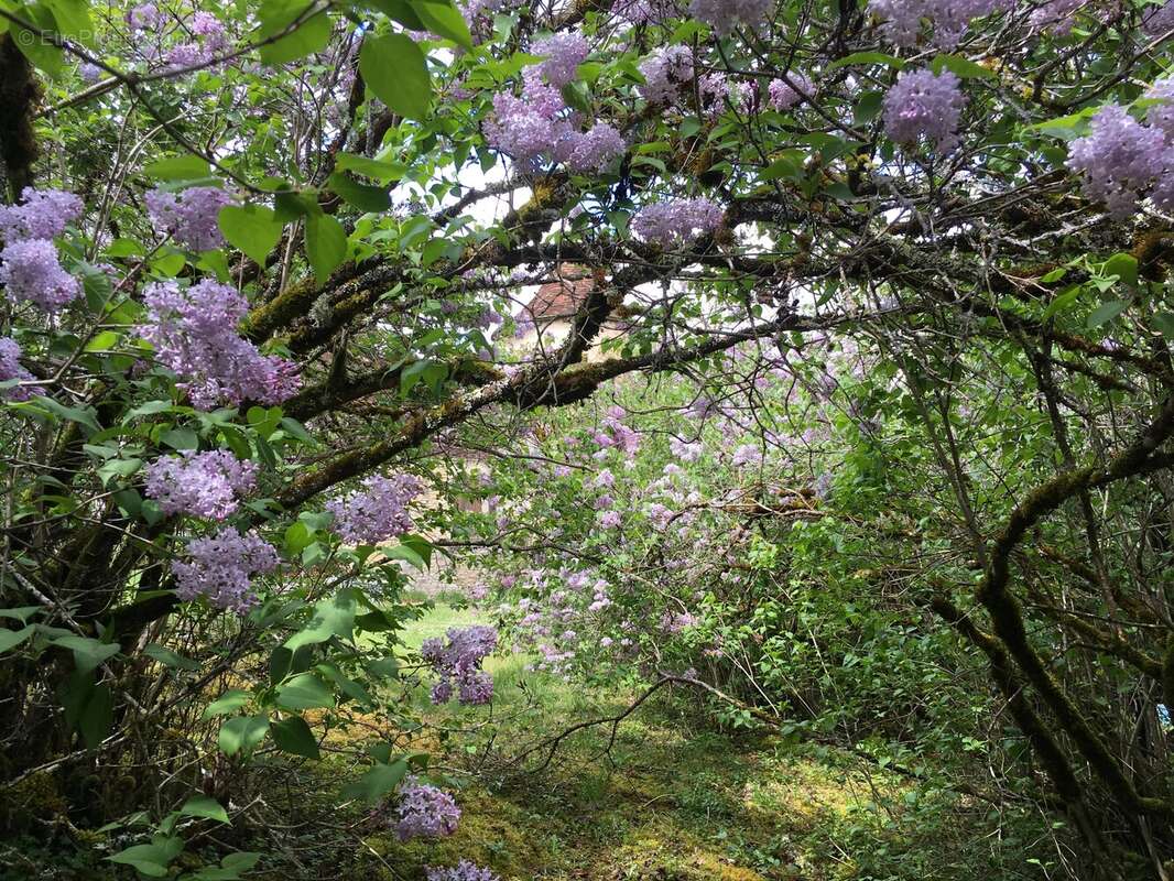 Maison à GINOUILLAC