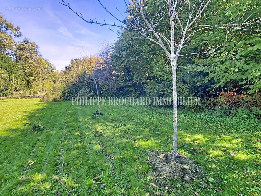 Terrain à MAREUIL-SUR-LAY-DISSAIS
