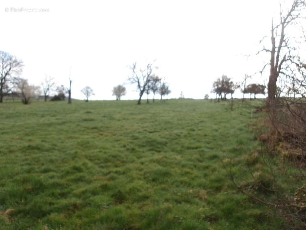 Maison à DIEMERINGEN