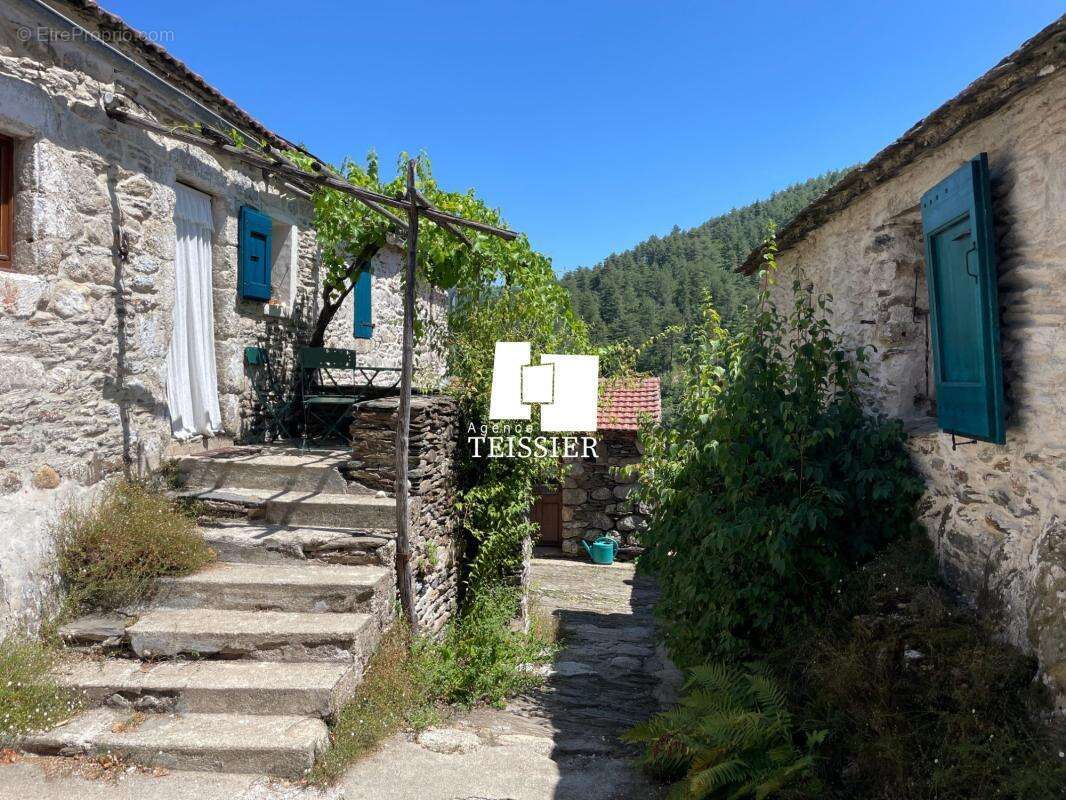 Mas Cévenol avec une vue dégagée et près de 3 hectares de te - photo 29