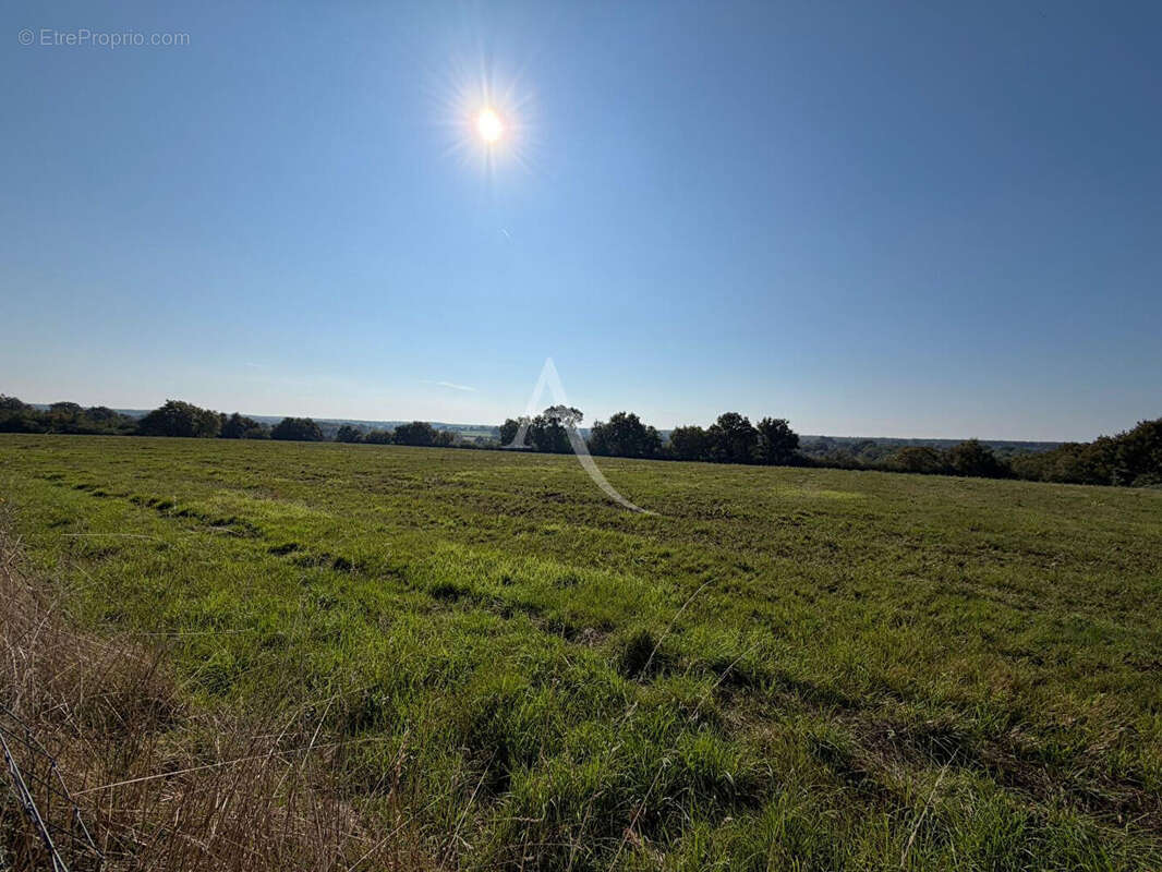 Maison à MOZE-SUR-LOUET