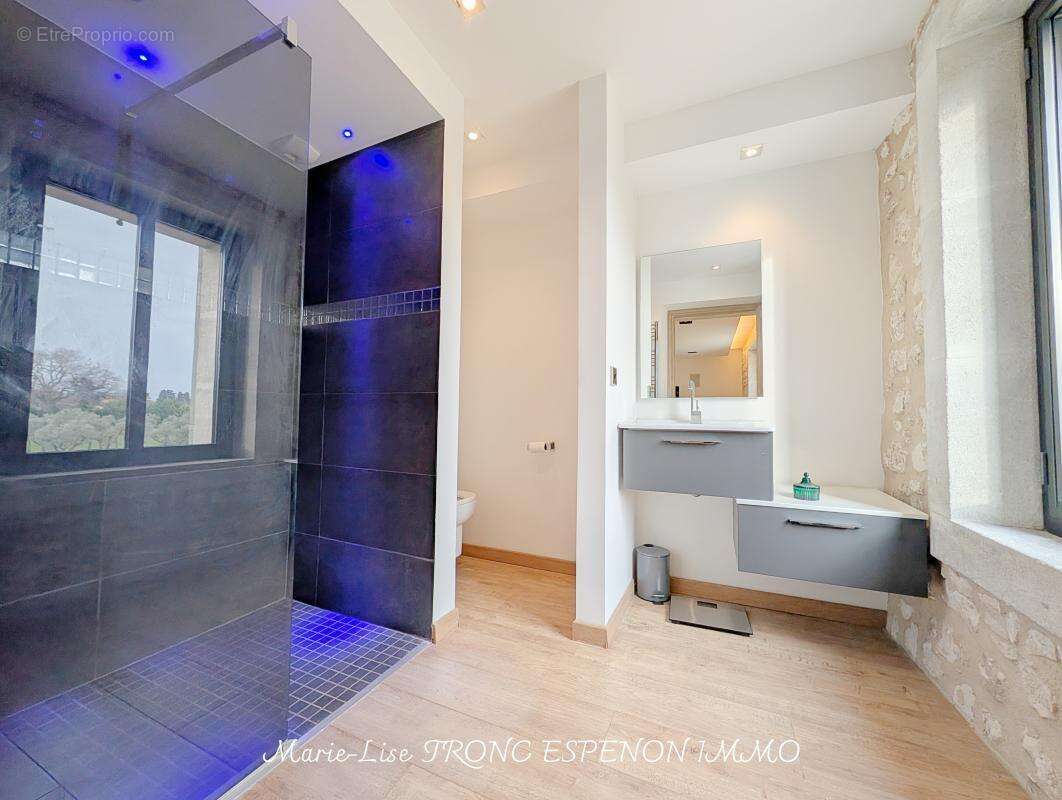 Maison 471 m² à Velleron  - photo 34