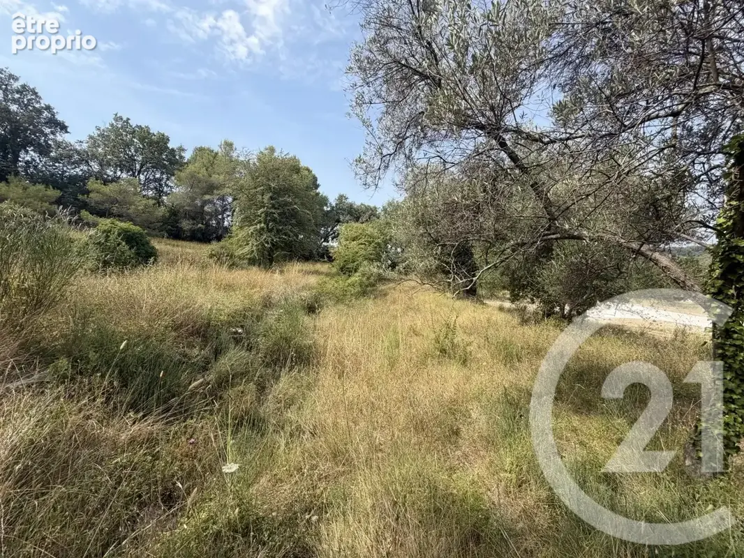 Terrain 2433 m² à Mougins  - photo 3