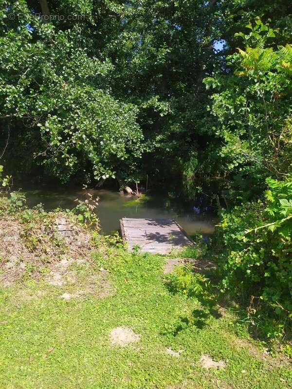 Photo 7 - Maison à ARQUES-LA-BATAILLE