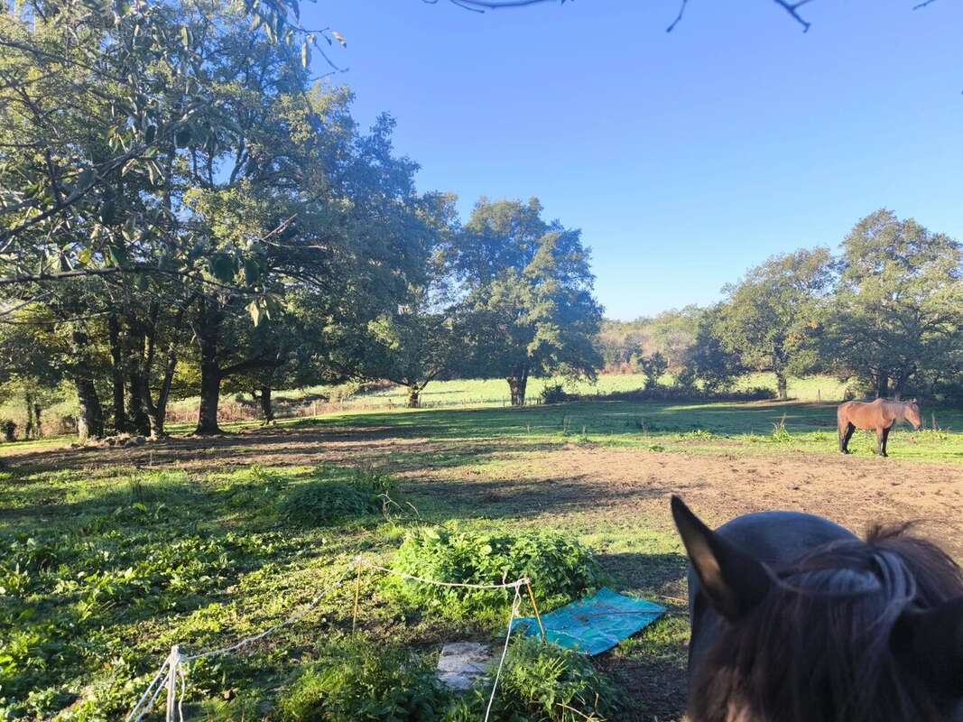 Maison à MONTROL-SENARD