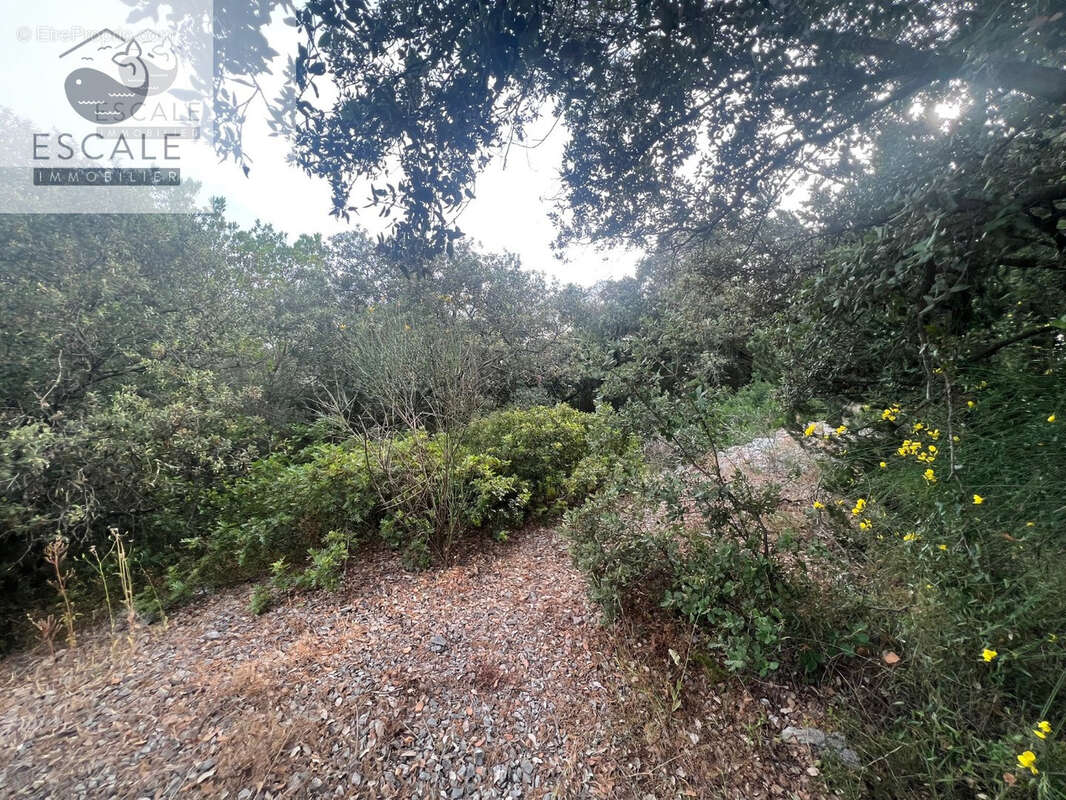 Terrain à PIGNAN