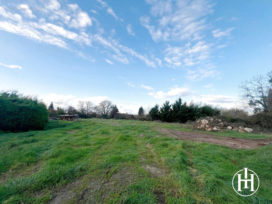Terrain à SAINT-AMAND-MONTROND