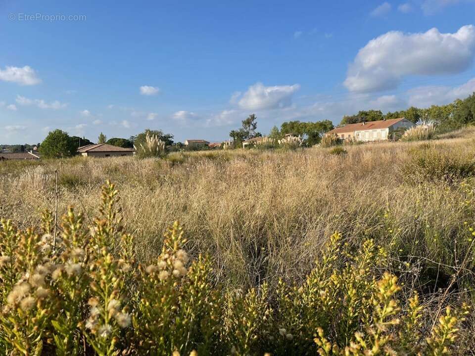 Terrain à CAZOULS-LES-BEZIERS