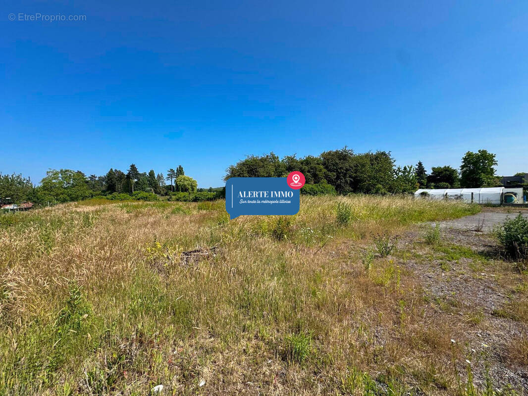 Terrain à LA NEUVILLE