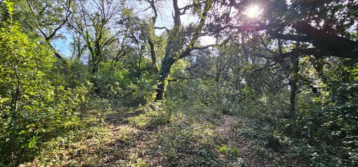 Terrain à MONTELIMAR