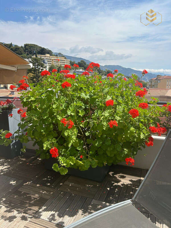 Appartement à MENTON