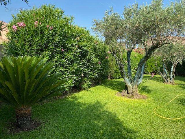 Villa familiale type 7 avec piscine - garage - jardin arbore - photo 3
