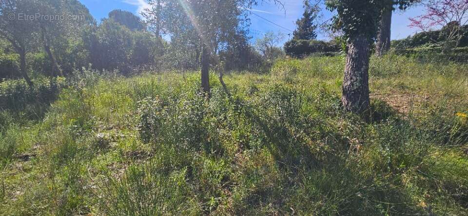 Terrain à PEYMEINADE