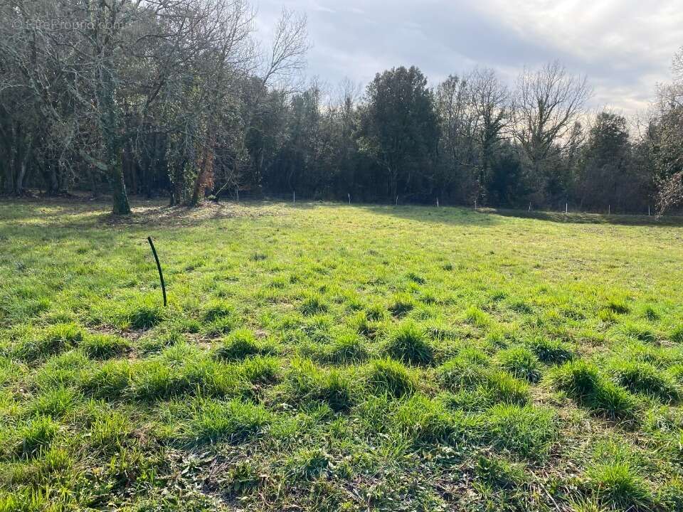 Terrain 780 m² à Saint-Vaize  - photo 3