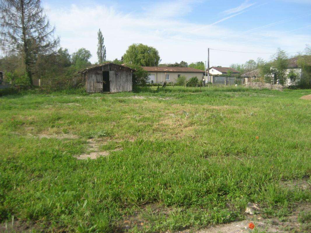 Terrain à VILLANDRAUT