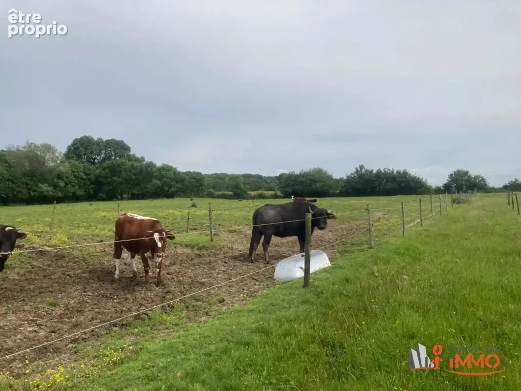 Propriété équestre avec chambres d'hôtes sur 4,3 hectares av - photo 10