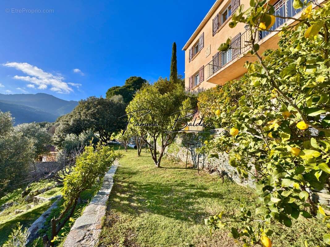 À vendre Maison de charme 5 pièces de 122m², Terrain 1 345m², Vue mer, Ville di Pietrabugno, Haute-Corse (20) - photo 16
