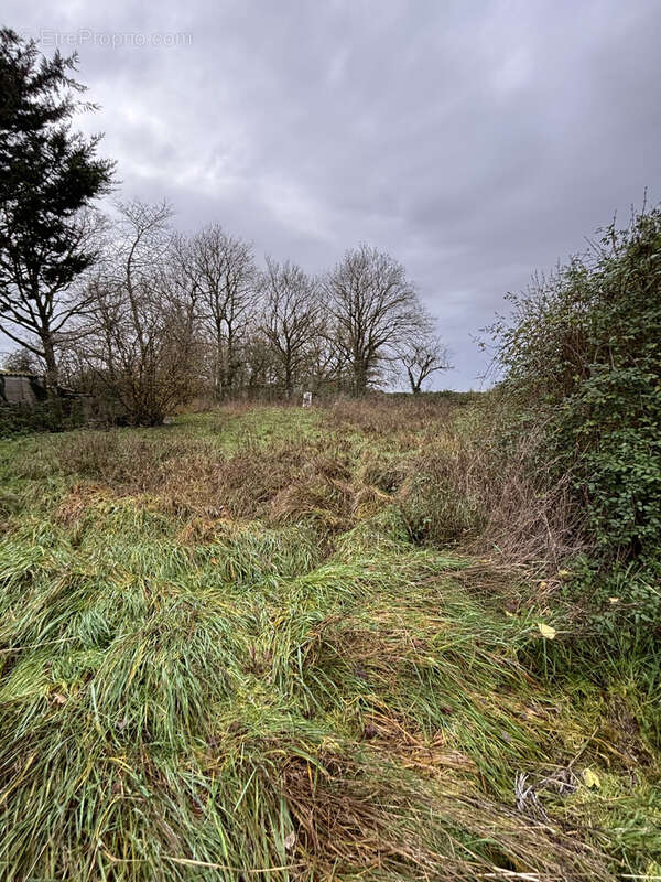 Maison à DAMMARIE-EN-PUISAYE