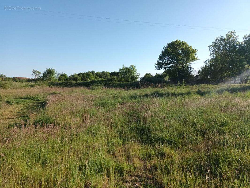 Terrain constructible 17 Le Mung  libre choix du constructeur - photo 2